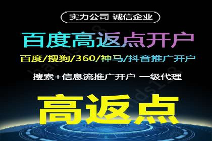 竞价推广成功案例解析